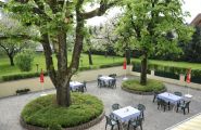 Ruhiger Gastgarten mit traumhaften Ausblick in den Obstgarten - Gasthof Haimbucher